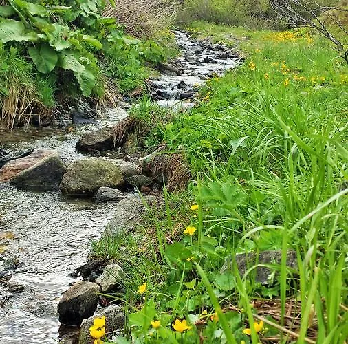 Fruehstueckpension Larson Bed & Breakfast Bad Hofgastein